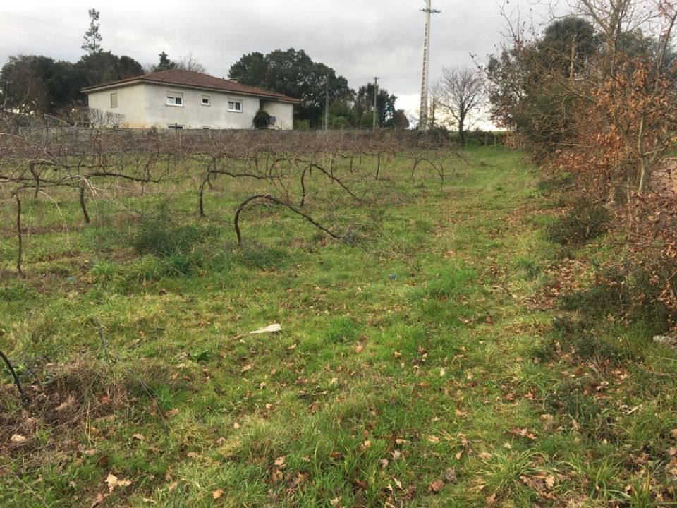 Helårsgrund i Moncao, Viana do Castelo - foto 5