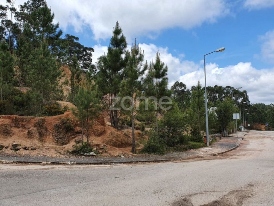 Helårsgrund i Ourem, Santarem - foto 1