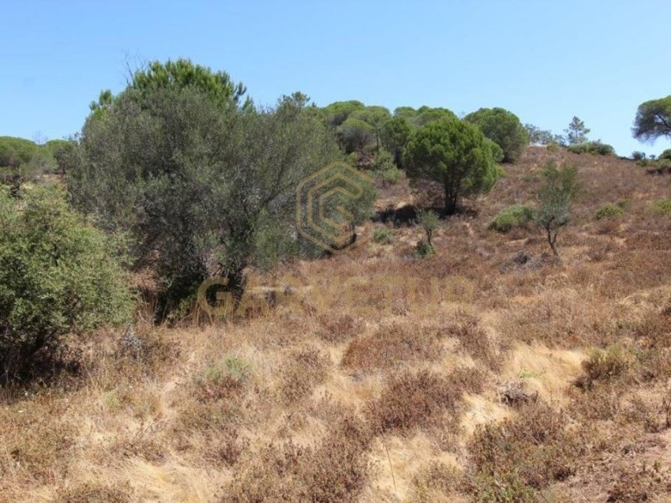 Helårsgrund i Paderne, Faro - foto 3