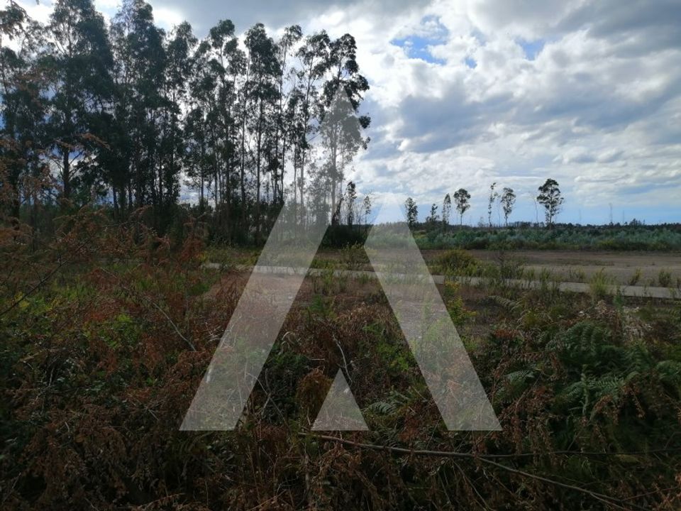 Helårsgrund i Macinhata do Vouga, Aveiro - foto 1