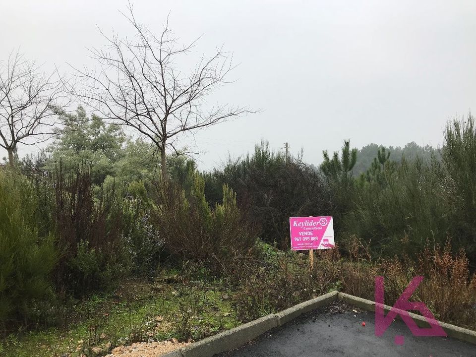 Terra a Sabrosa, Vila Real - foto 1