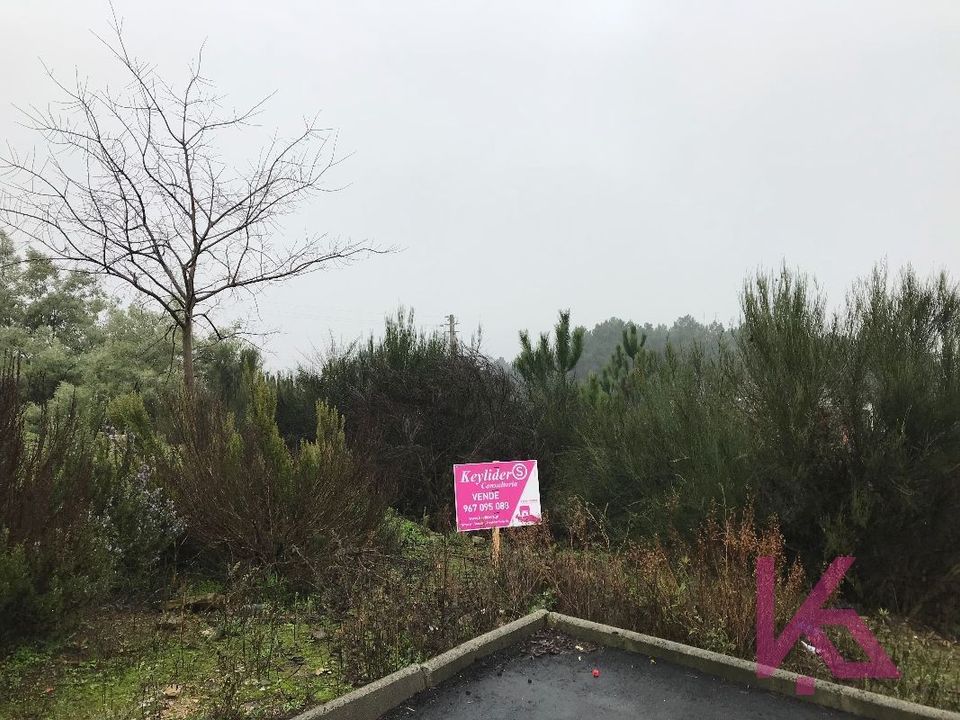 Terra a Sabrosa, Vila Real - foto 2