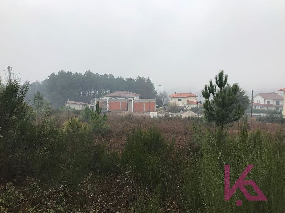 Helårsgrund i Sabrosa, Vila Real - foto 3