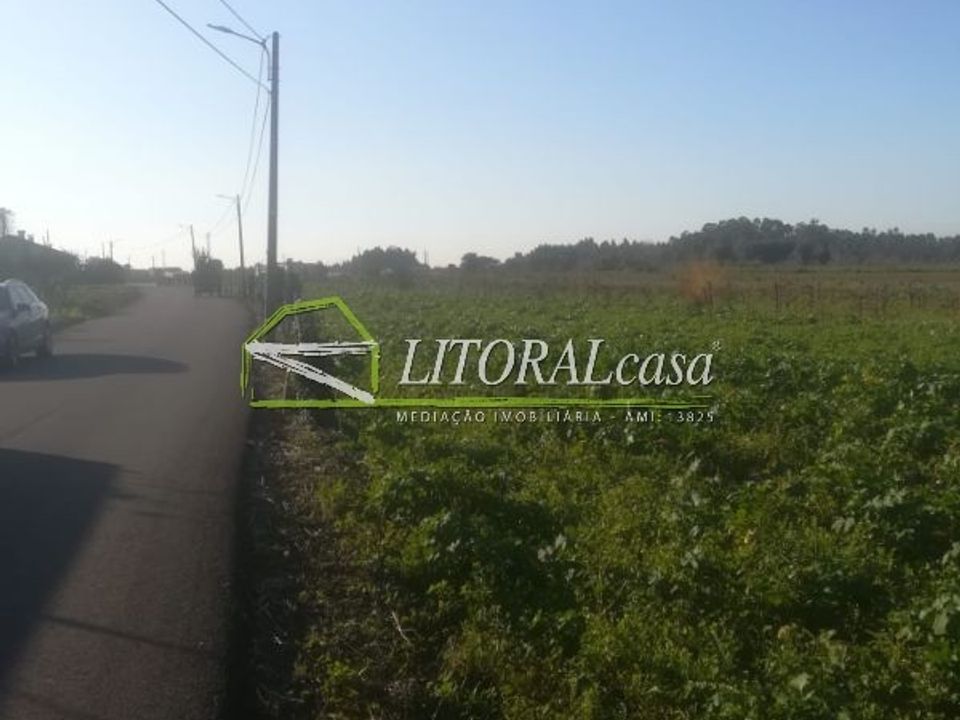 Tomt i Aveiro, Aveiro - bilde 5