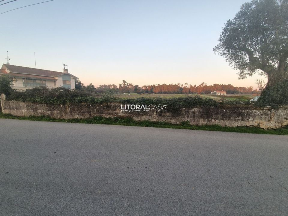 Helårsgrund i Oliveira do Bairro, Aveiro - foto 3