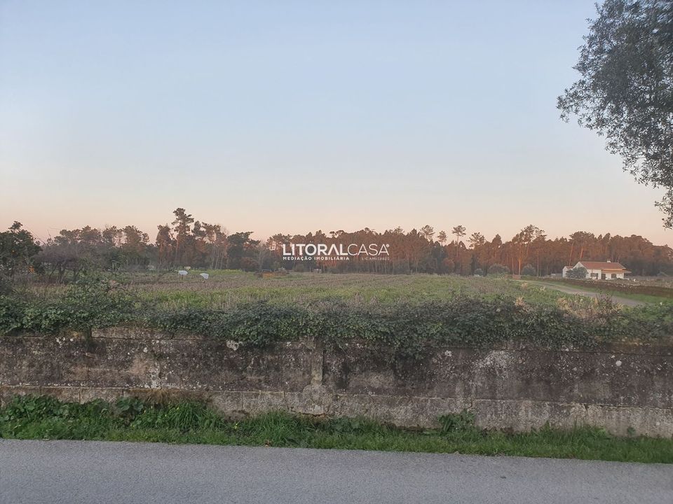 Helårsgrund i Oliveira do Bairro, Aveiro - foto 4