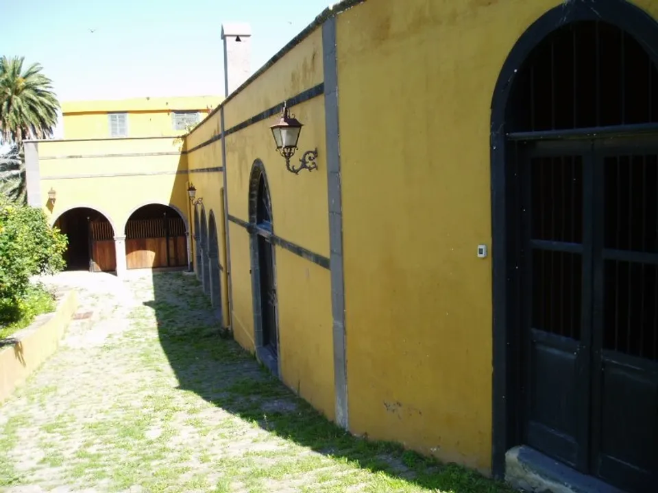Finca i Santa Brigida, Gran Canaria - bilde 3