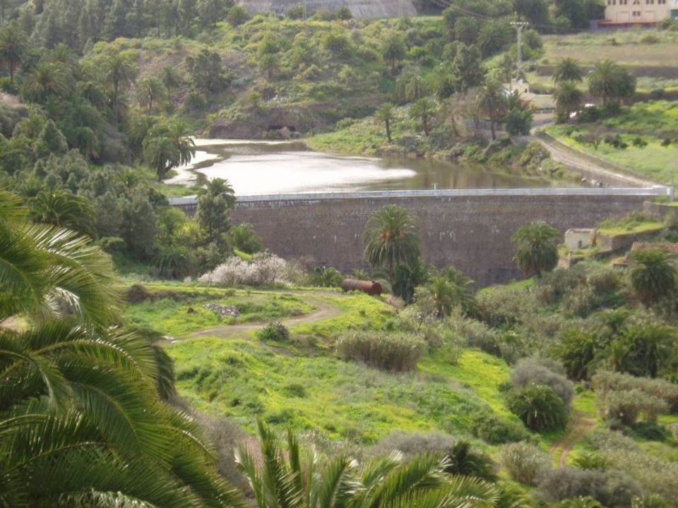Finca i Santa Brigida, Gran Canaria - bilde 1