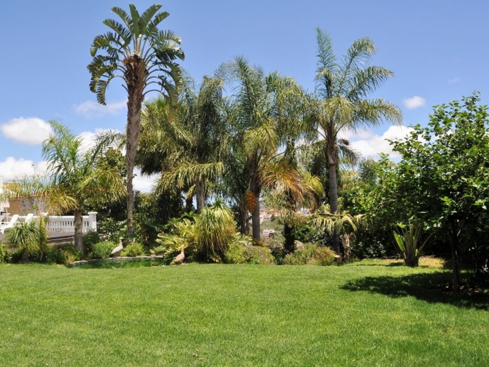 Villa i Santa Brigida, Gran Canaria - bilde 1