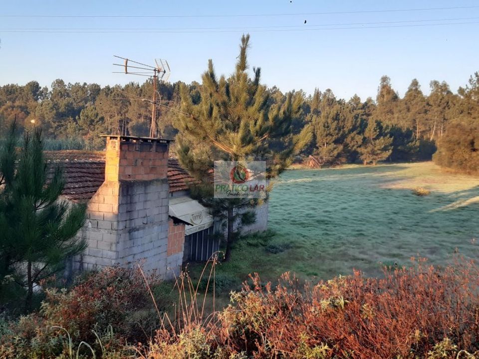 Helårsgrund i Oliveira do Bairro, Aveiro - foto 4