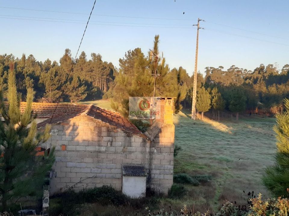 Helårsgrund i Oliveira do Bairro, Aveiro - foto 5