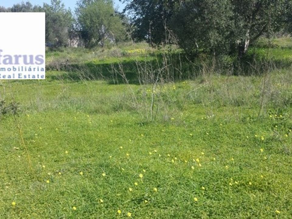 Helårsgrund i Olhao, Faro - foto 3