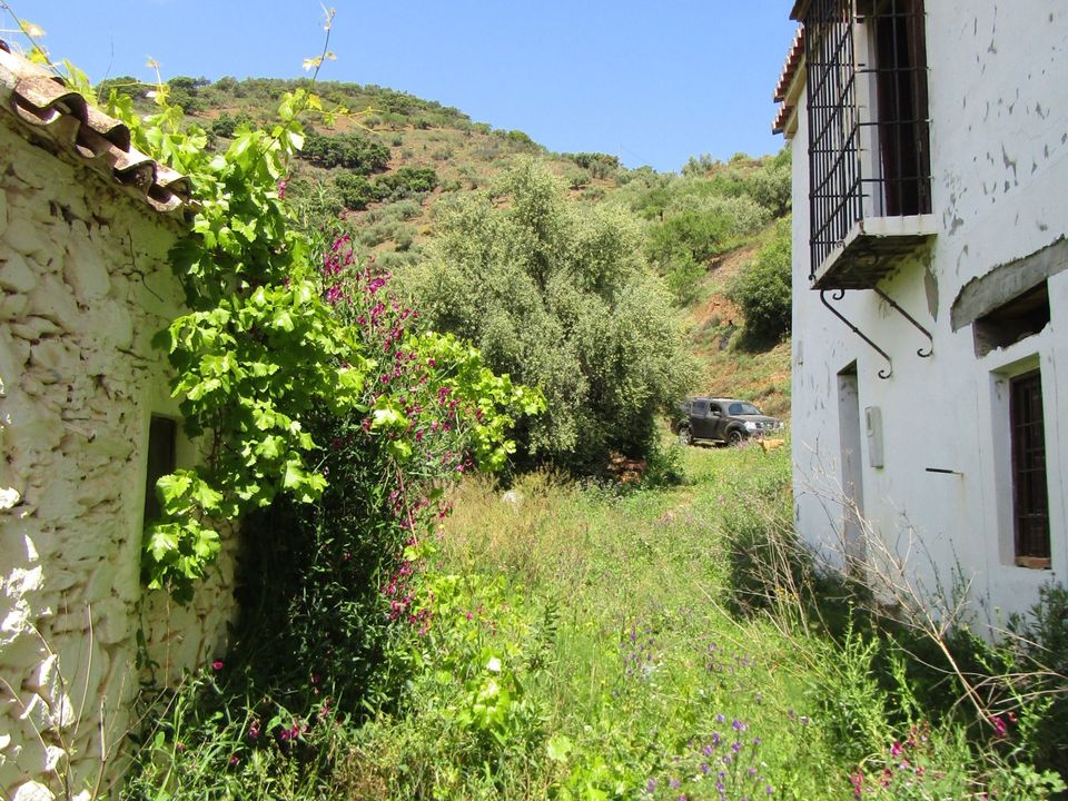 Cortijo i Colmenar, Malaga - bilde 5