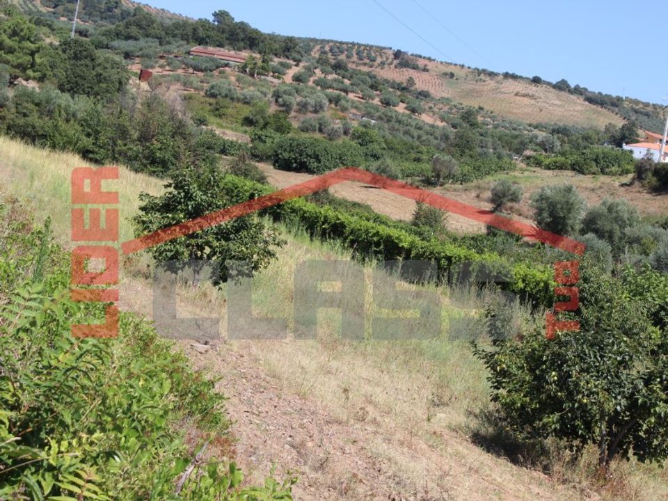 Helårsgrund i Mirandela, Braganca - foto 1