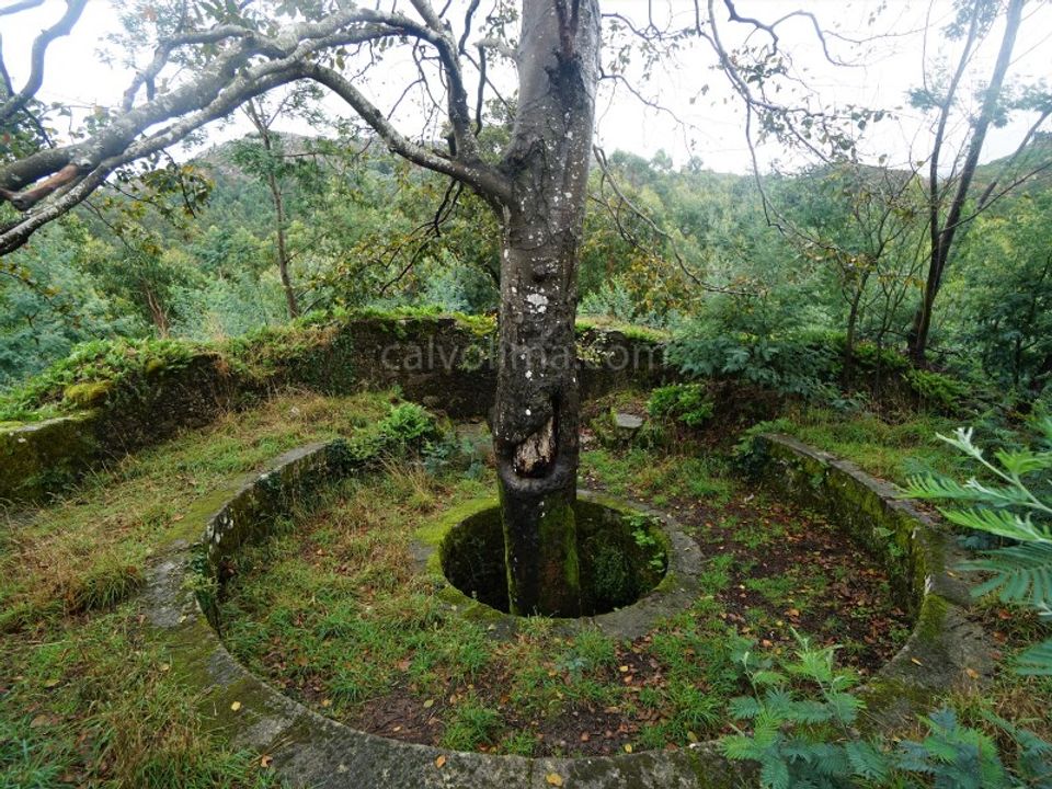 Helårsgrund i Vila Nova de Cerveira, Viana do Castelo - foto 4