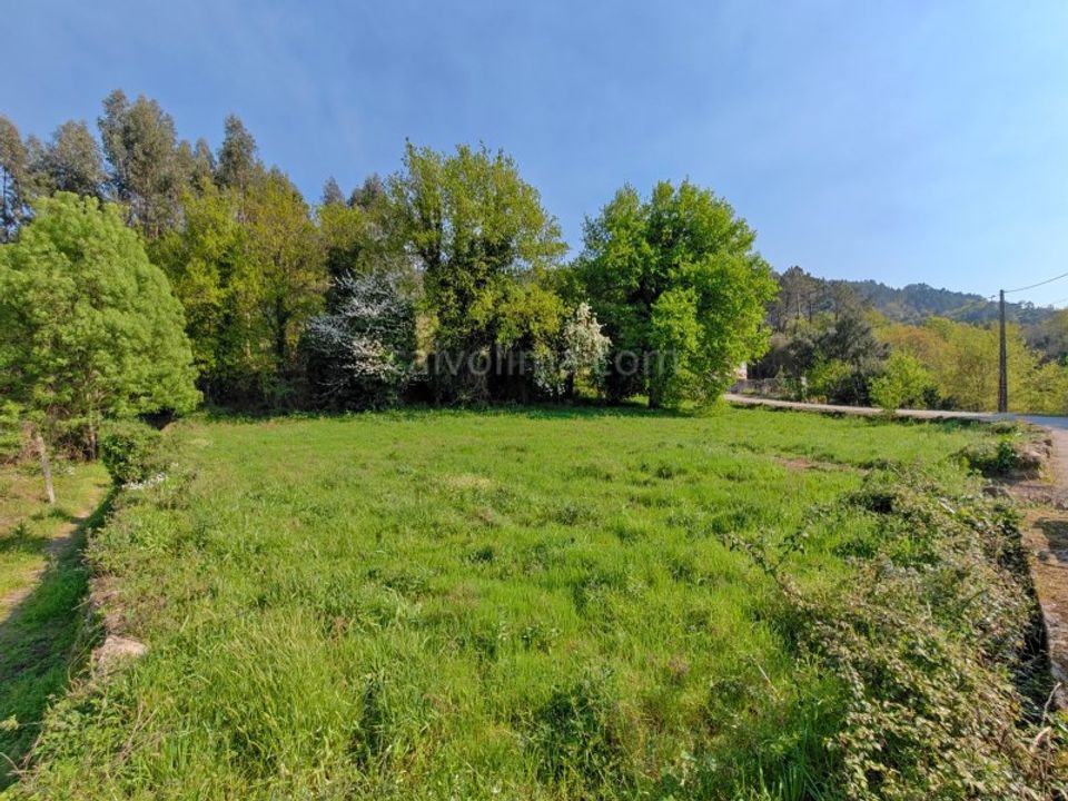 Helårsgrund i Melgaco, Viana do Castelo - foto 5