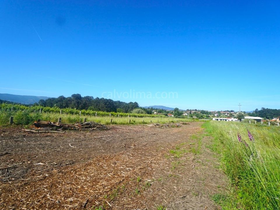 Helårsgrund i Moncao, Viana do Castelo - foto 5