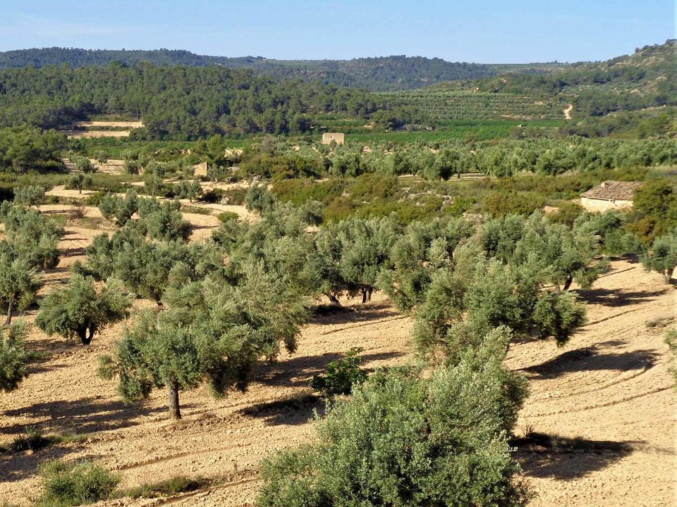 Finca i Maella, Zaragoza - foto 1