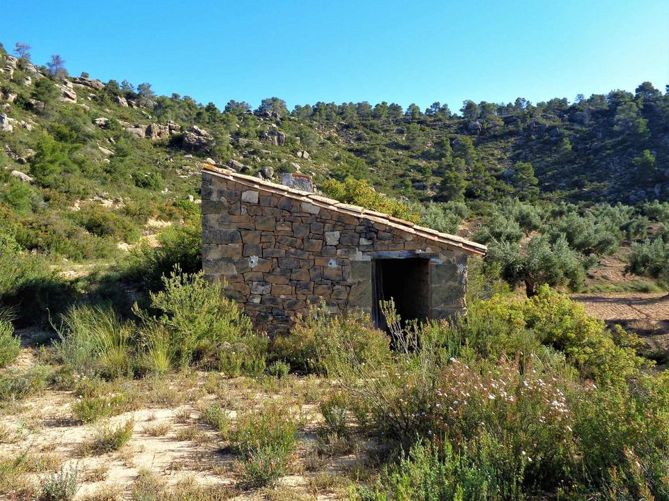 Finca i Maella, Zaragoza - foto 3