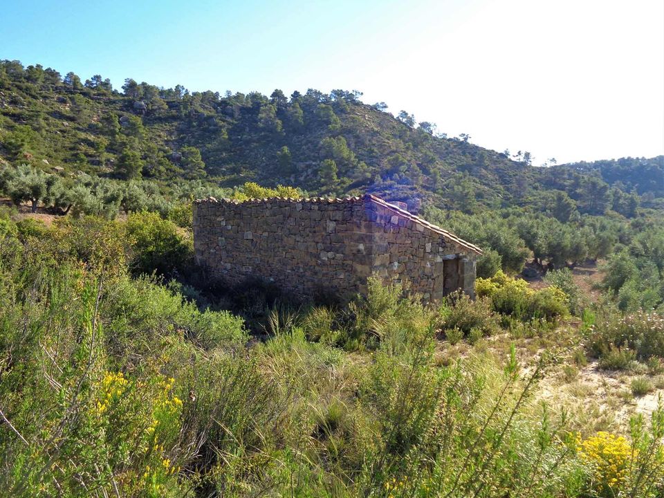 Finca i Maella, Zaragoza - foto 2