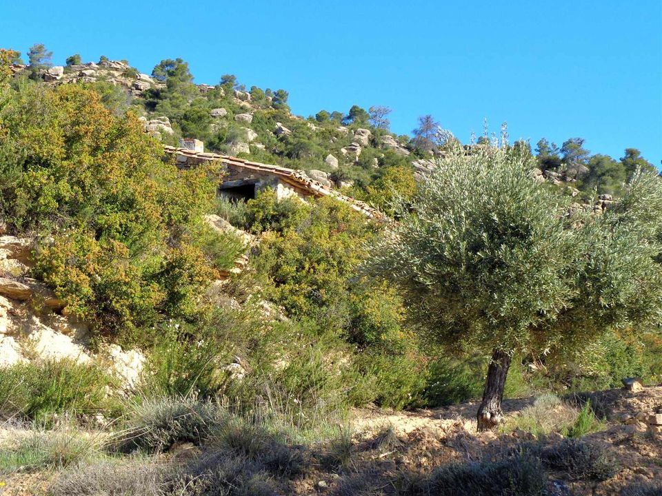 Finca i Maella, Zaragoza - foto 5