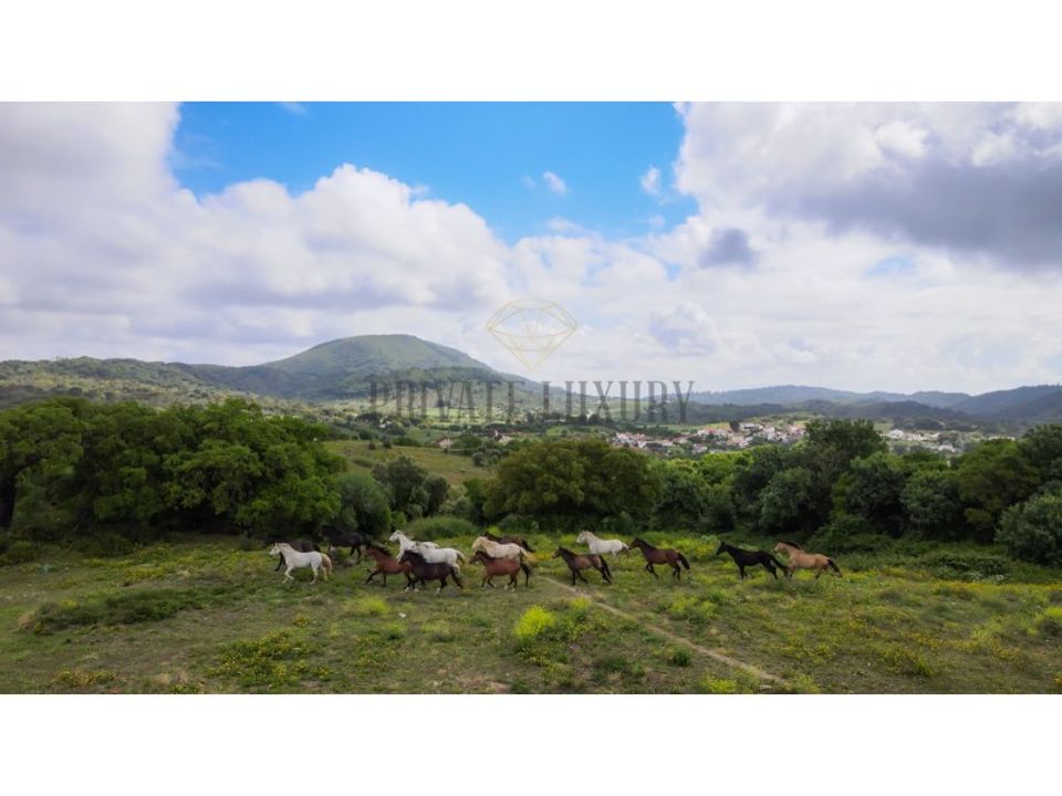 Farm i Brejos de Azeitao, Setubal - foto 4