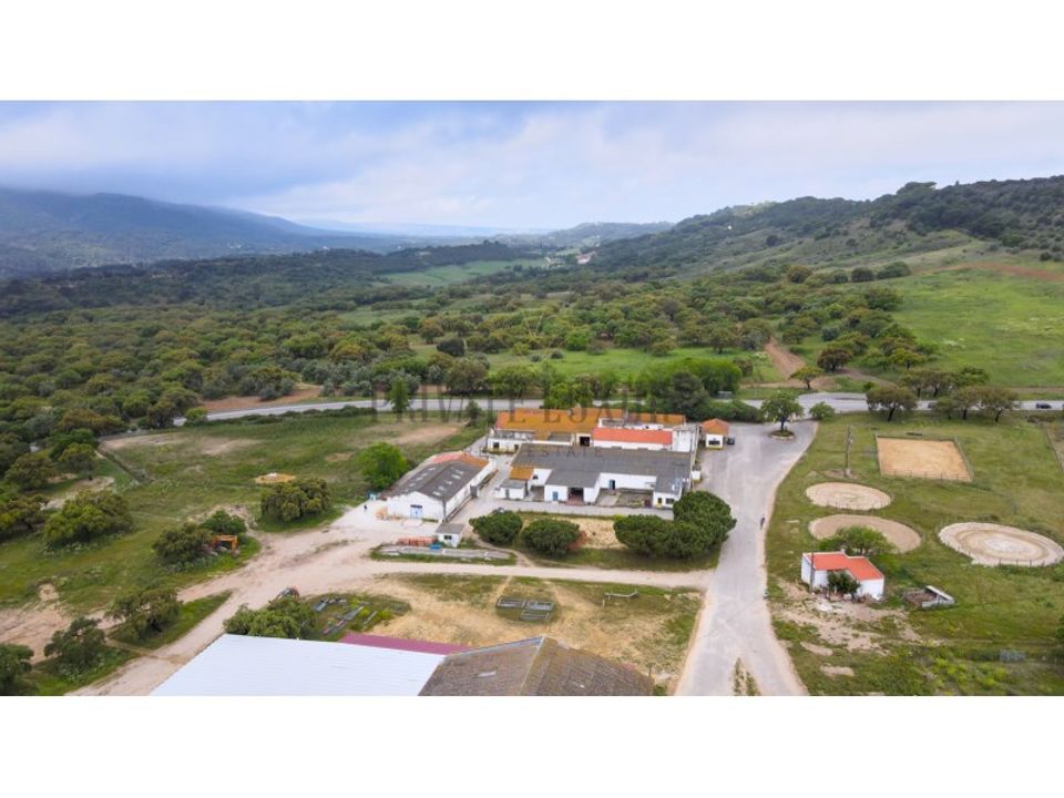 Farm i Brejos de Azeitao, Setubal - foto 2