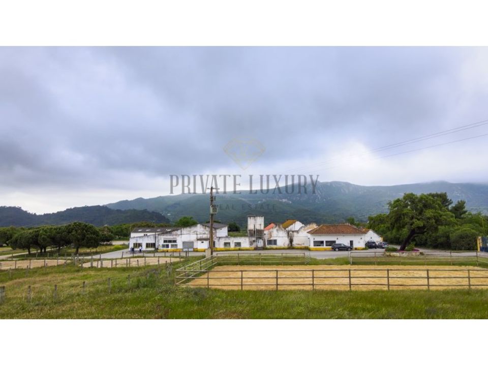 Farm i Brejos de Azeitao, Setubal - foto 1