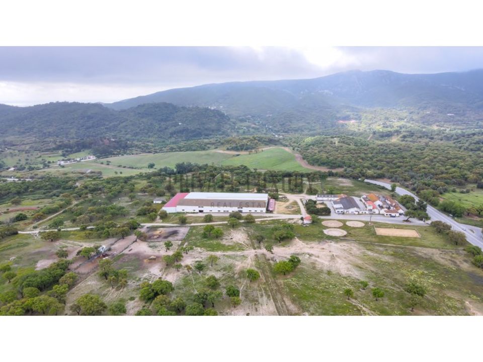Farm i Brejos de Azeitao, Setubal - foto 3