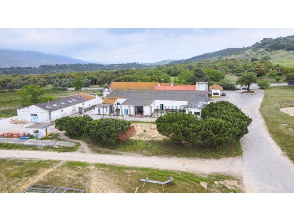 Farm i Brejos de Azeitao, Setubal - foto 5