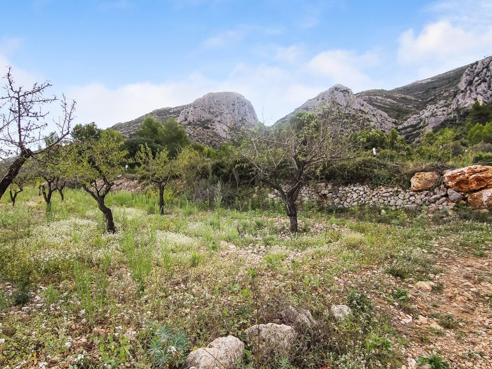 Helårsgrund i Pedreguer, Alicante - foto 5