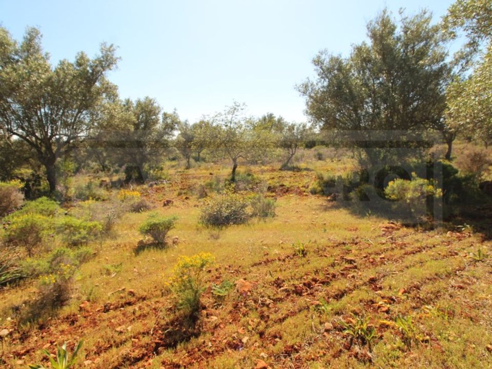Helårsgrund i Silves, Faro - foto 1