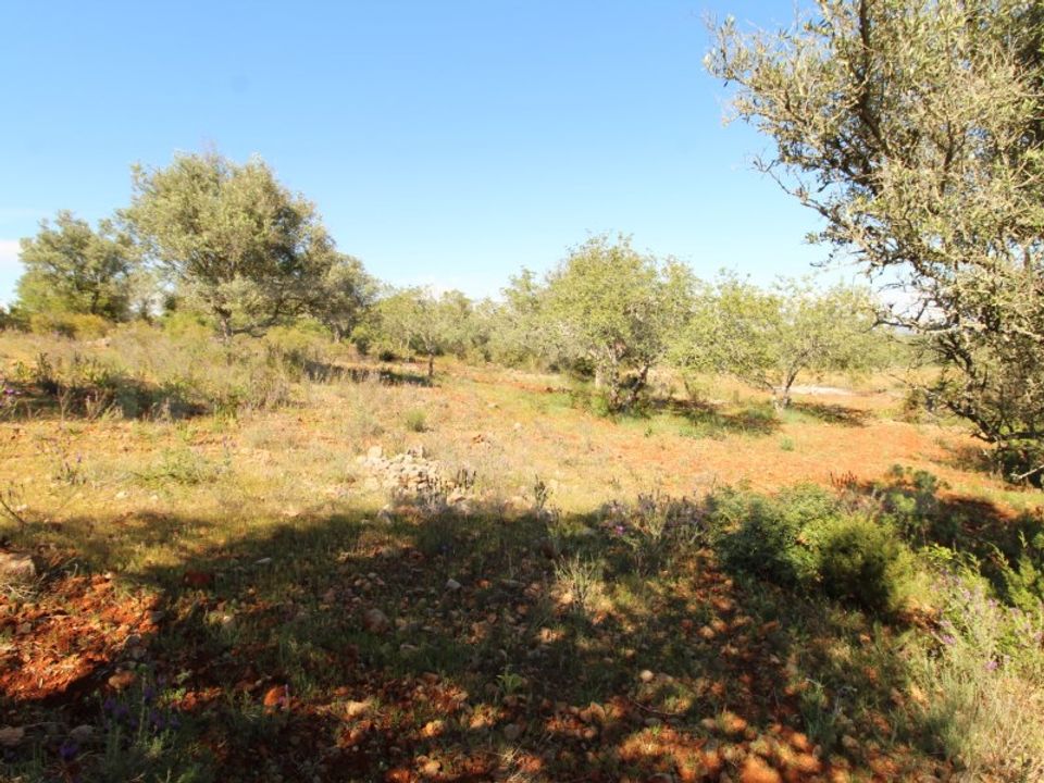 Helårsgrund i Silves, Faro - foto 4