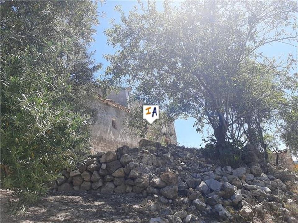 Cortijo en Frailes, Jaen - foto 3