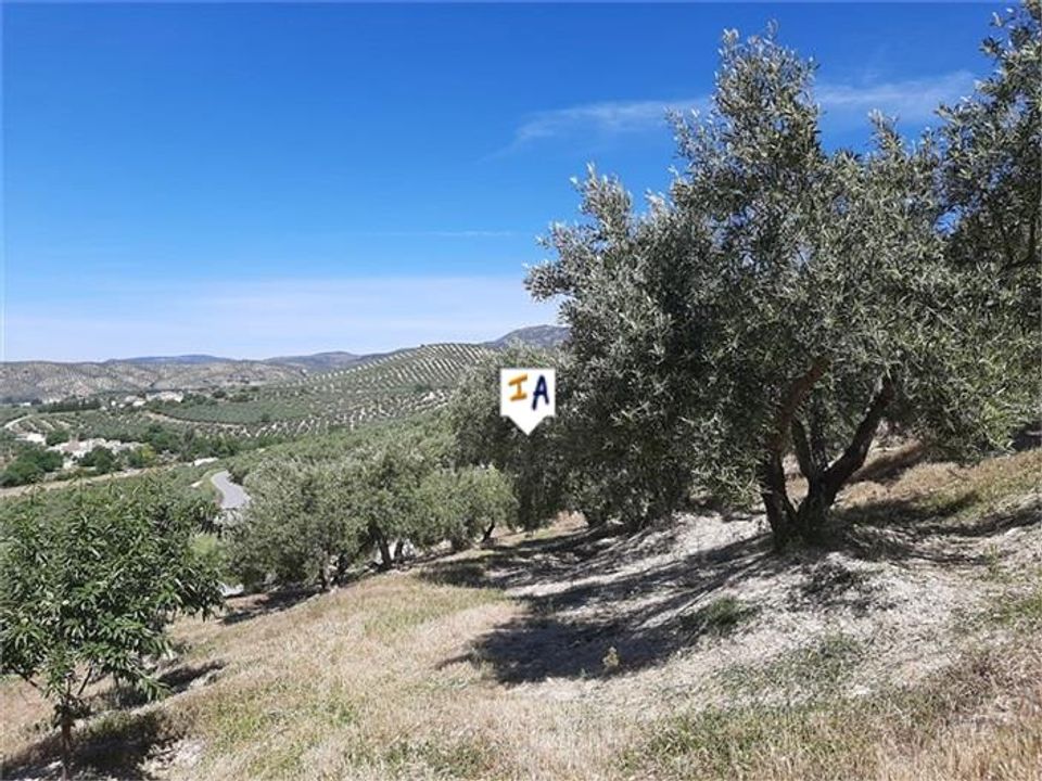 Cortijo en Frailes, Jaen - foto 4
