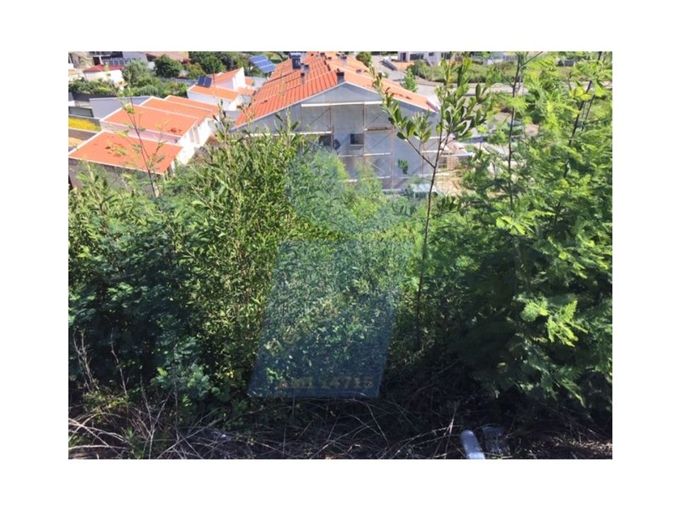 Helårsgrund i Anadia, Aveiro - foto 5