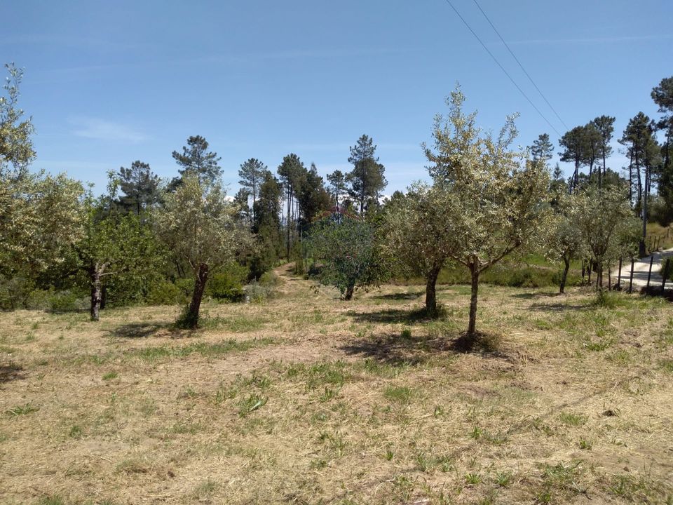 Helårsgrund i Viseu, Viseu - foto 1