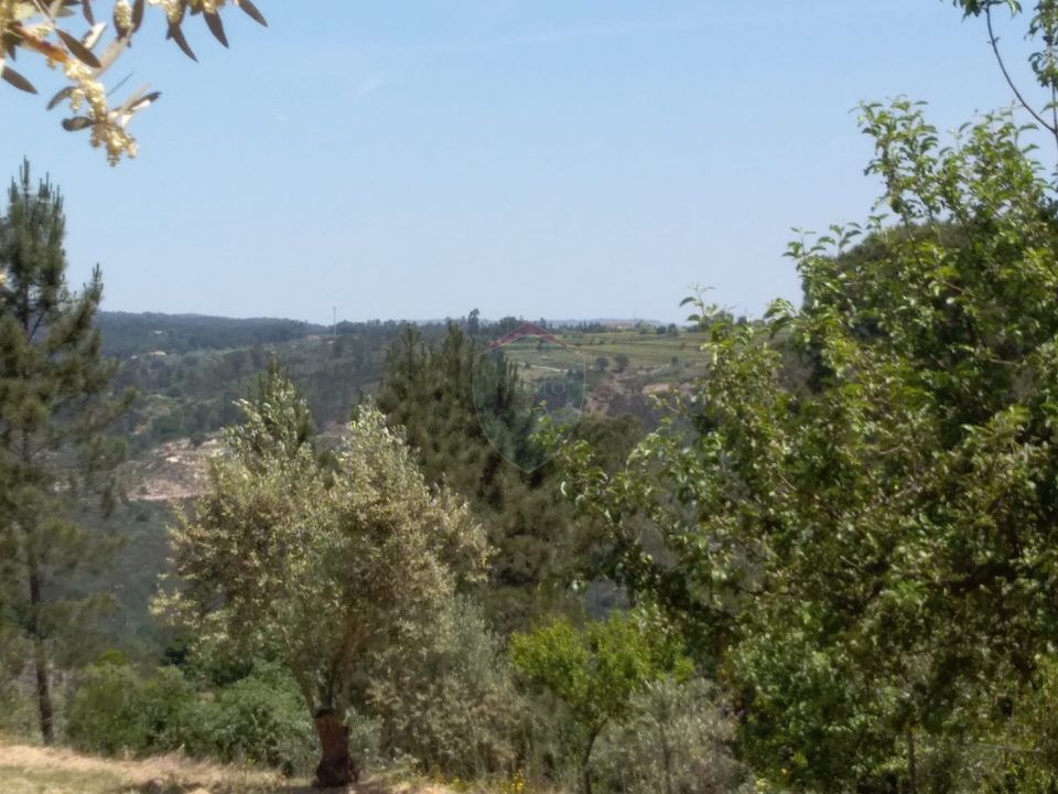 Helårsgrund i Viseu, Viseu - foto 2
