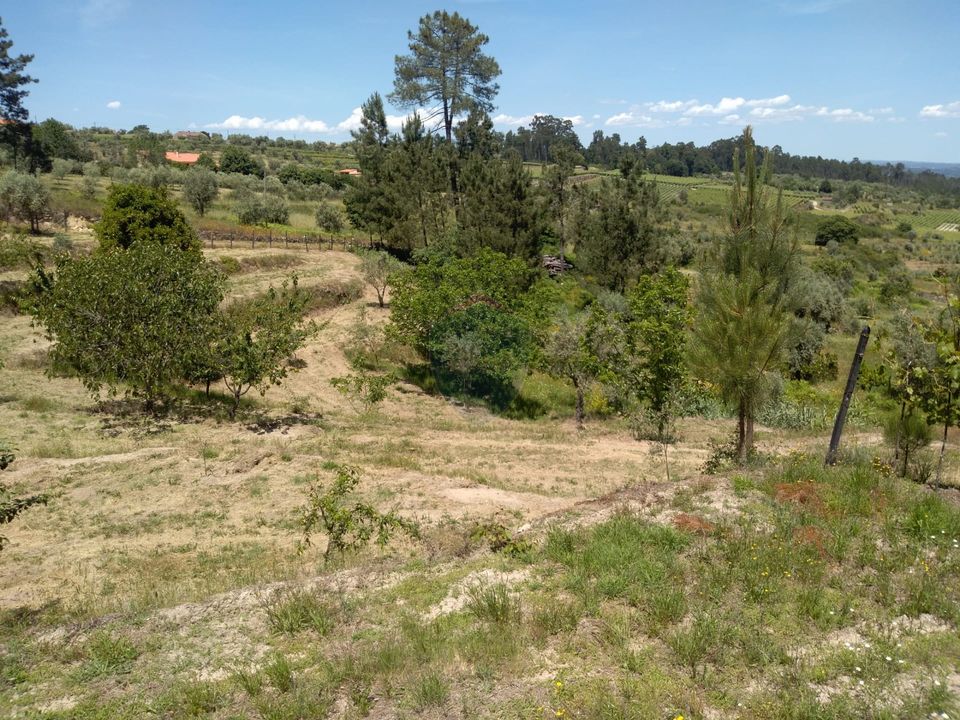 Helårsgrund i Viseu, Viseu - foto 5