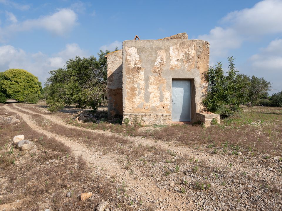 Finca i Santa Barbara, Tarragona - foto 1