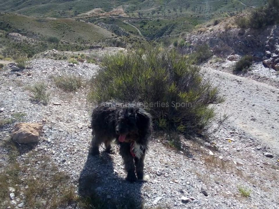 Helårsgrund i Limaria, Almeria - foto 5
