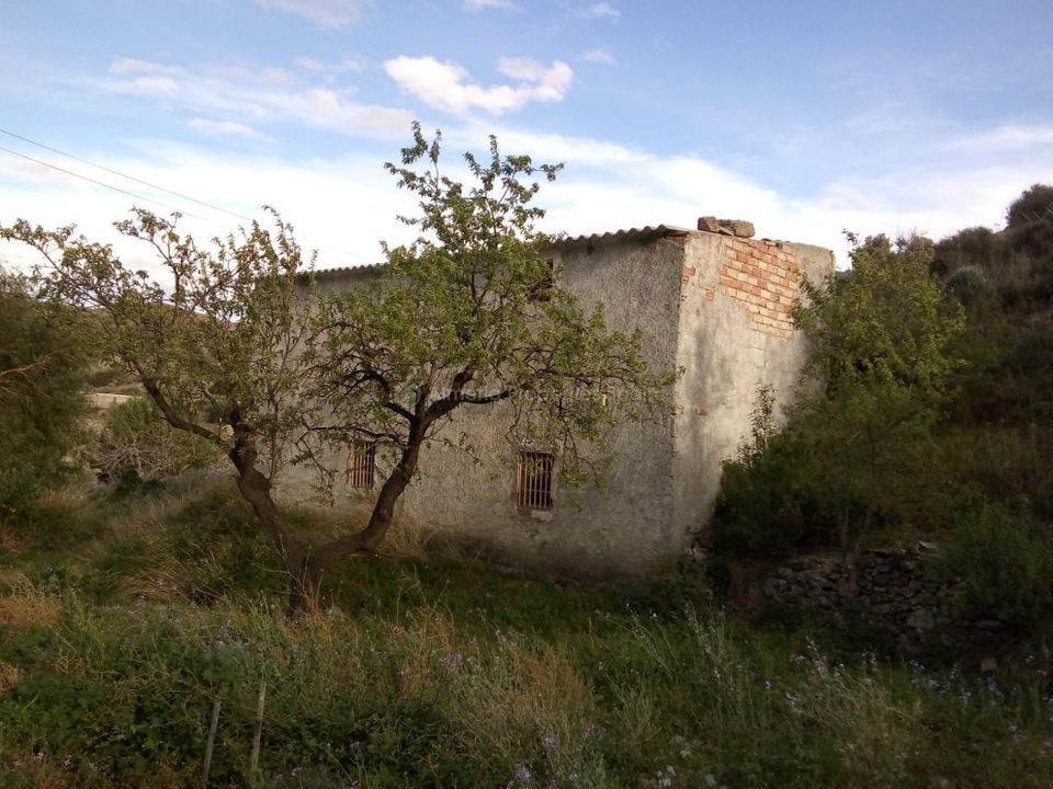 Landejendom i Albox, Almeria - foto 4