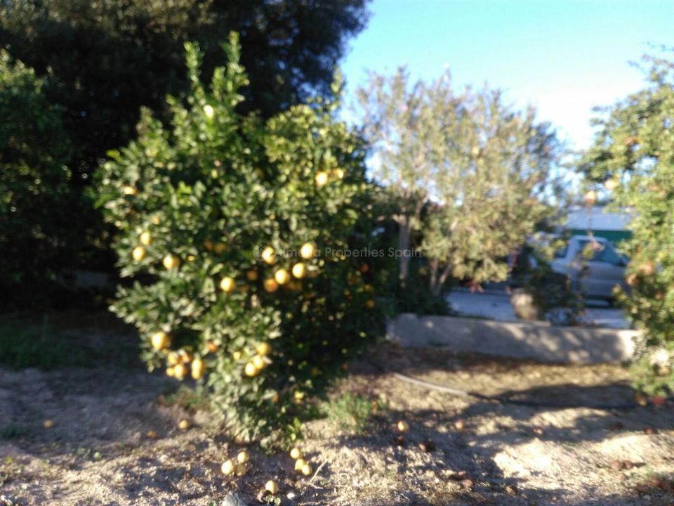 Landejendom i Arboleas, Almeria - foto 4