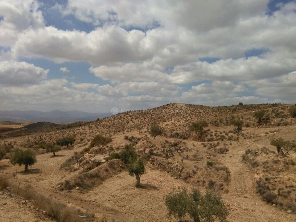 Landejendom i Albox, Almeria - foto 5