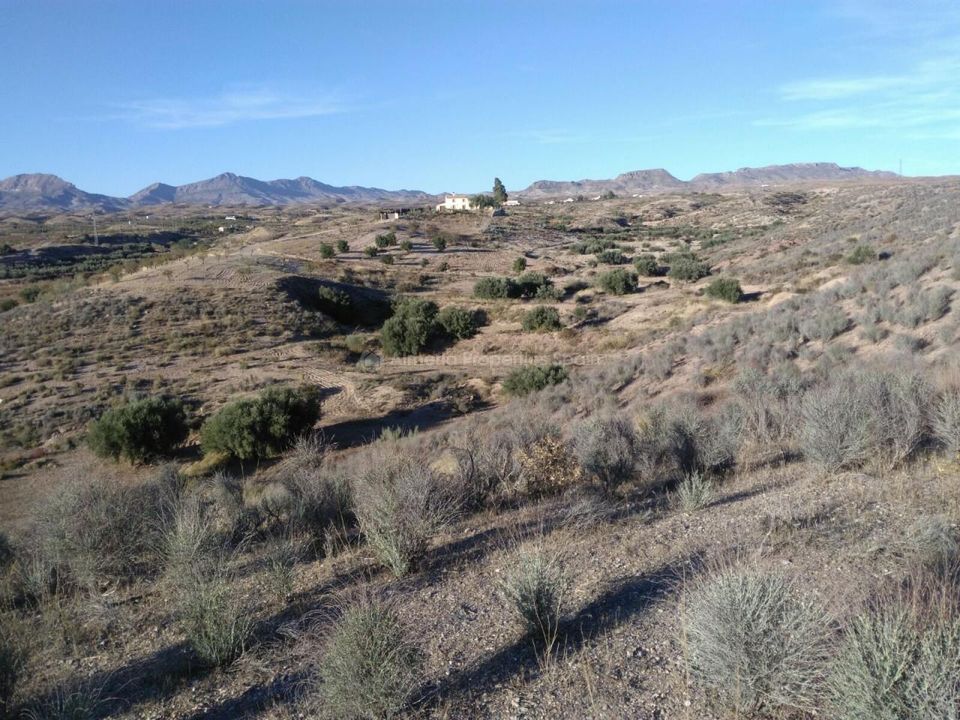 Helårsgrund i Albox, Almeria - foto 1