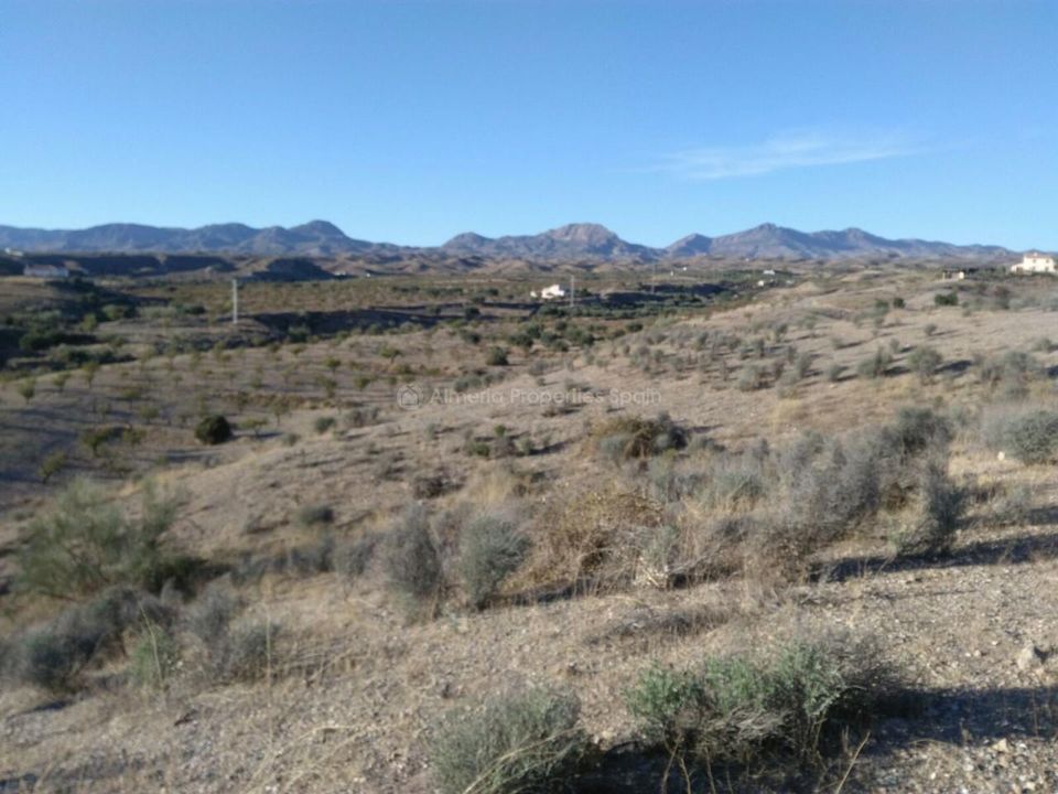 Helårsgrund i Albox, Almeria - foto 2