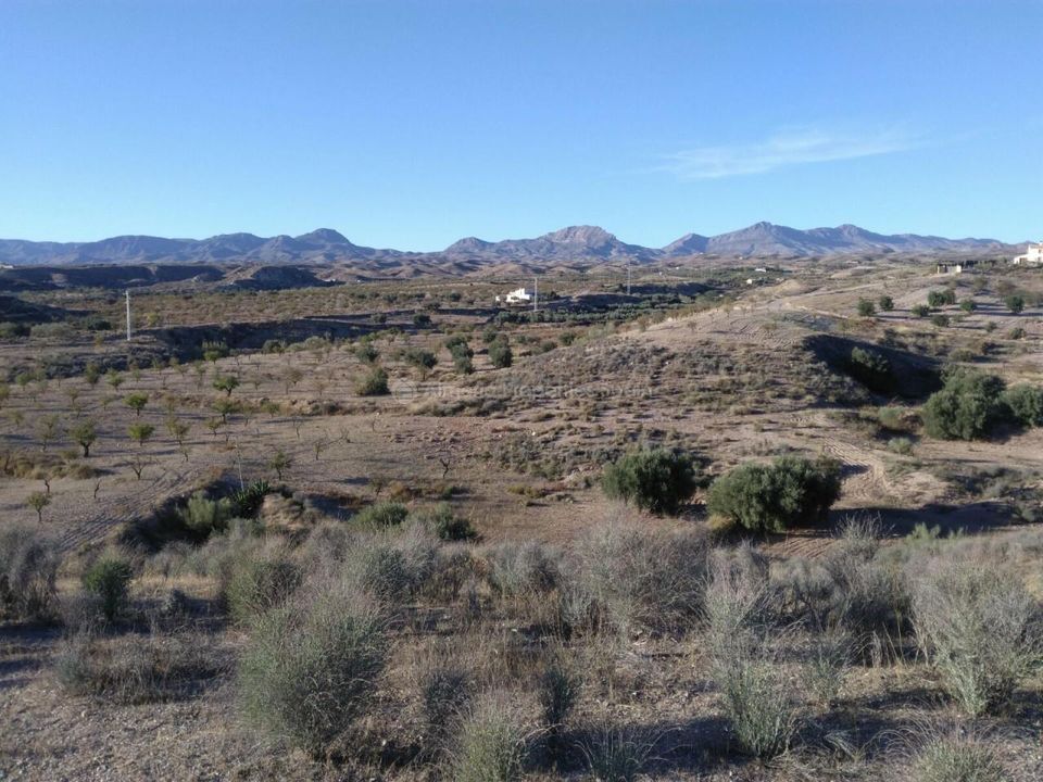 Helårsgrund i Albox, Almeria - foto 3