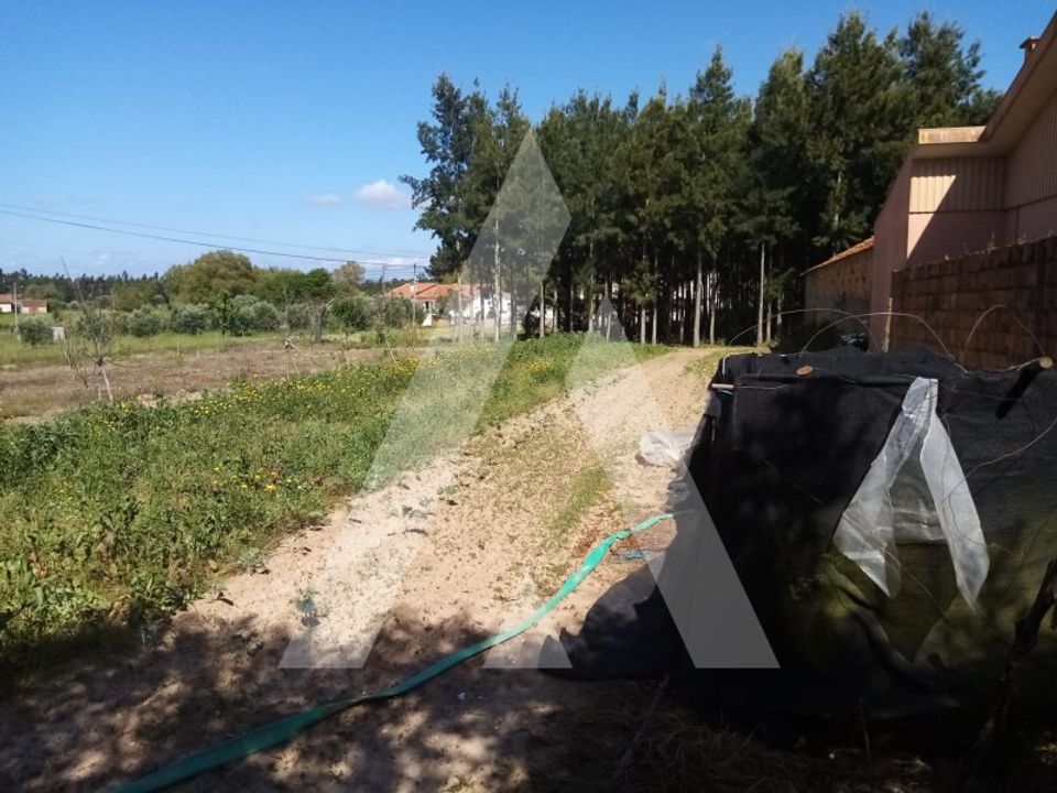 Helårsgrund i Anadia, Aveiro - foto 2