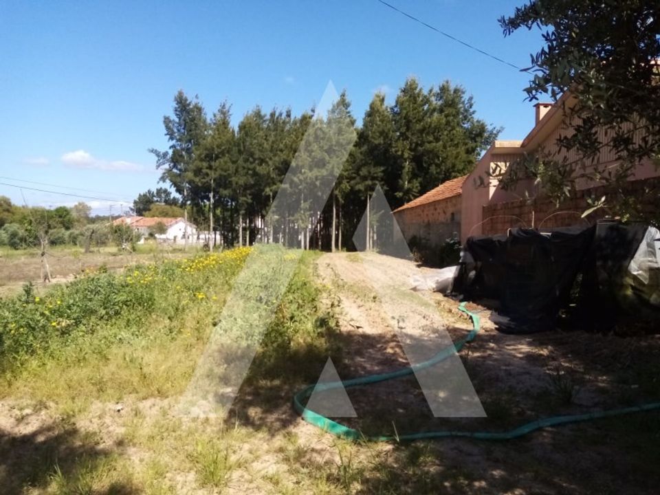 Helårsgrund i Anadia, Aveiro - foto 4