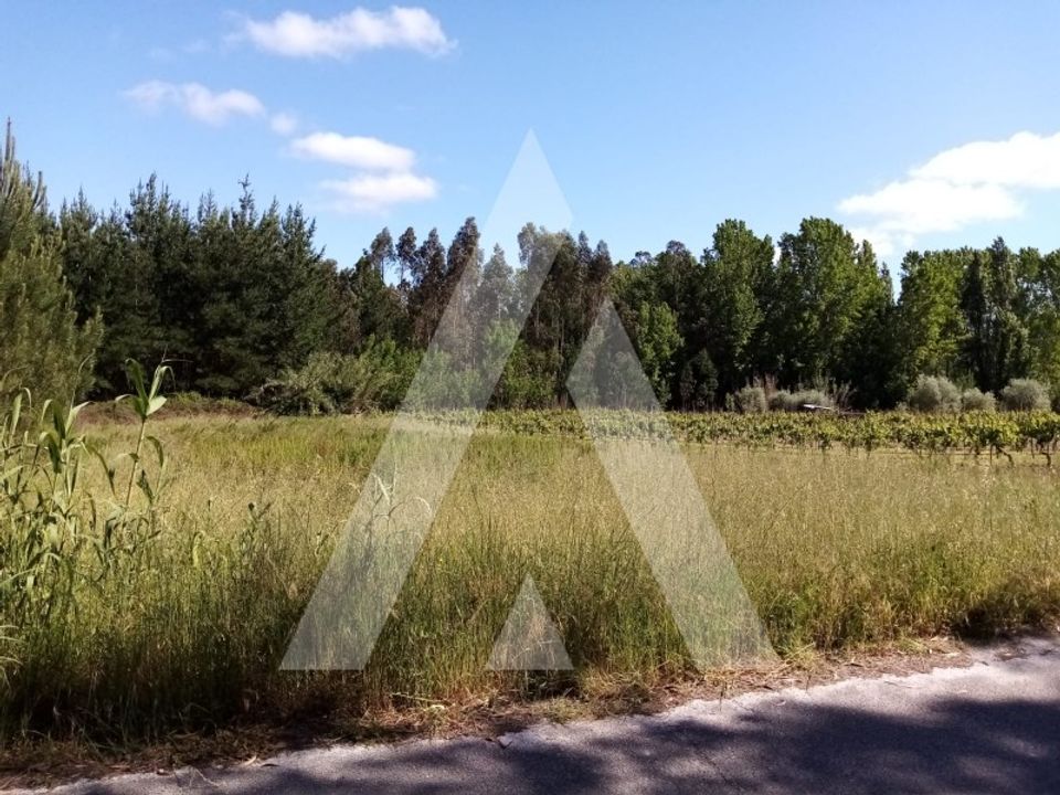 Helårsgrund i Anadia, Aveiro - foto 4